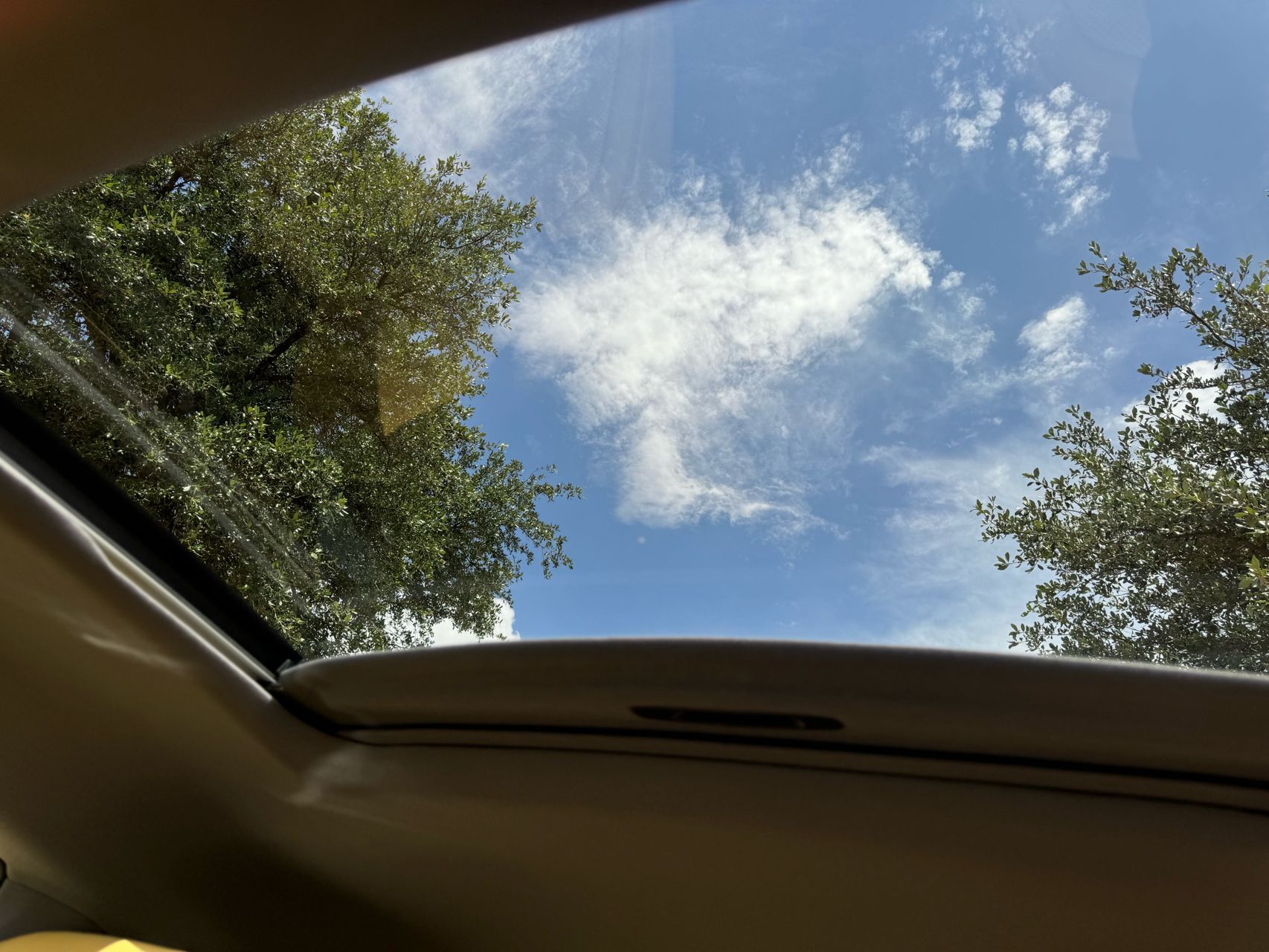 View 23