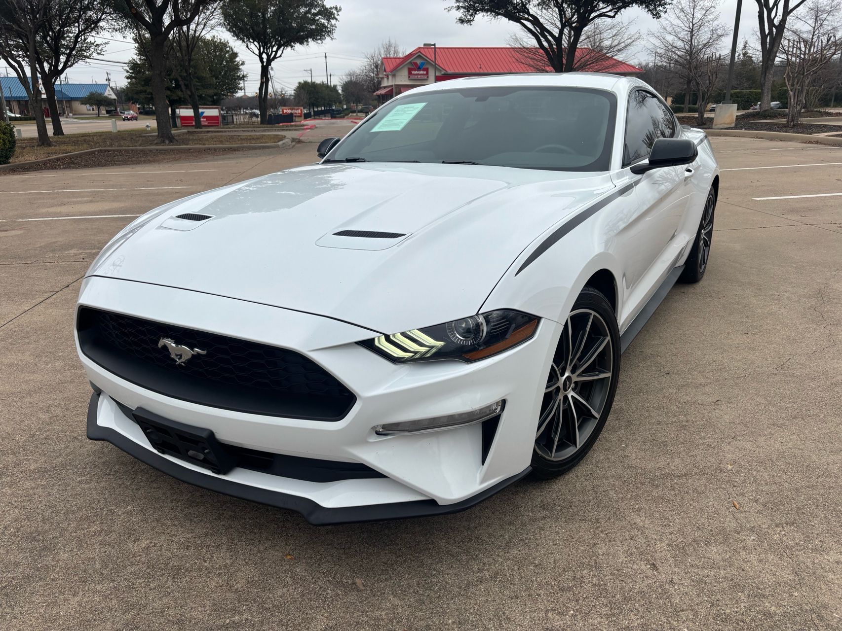2019 Ford Mustang EcoBoost's photo