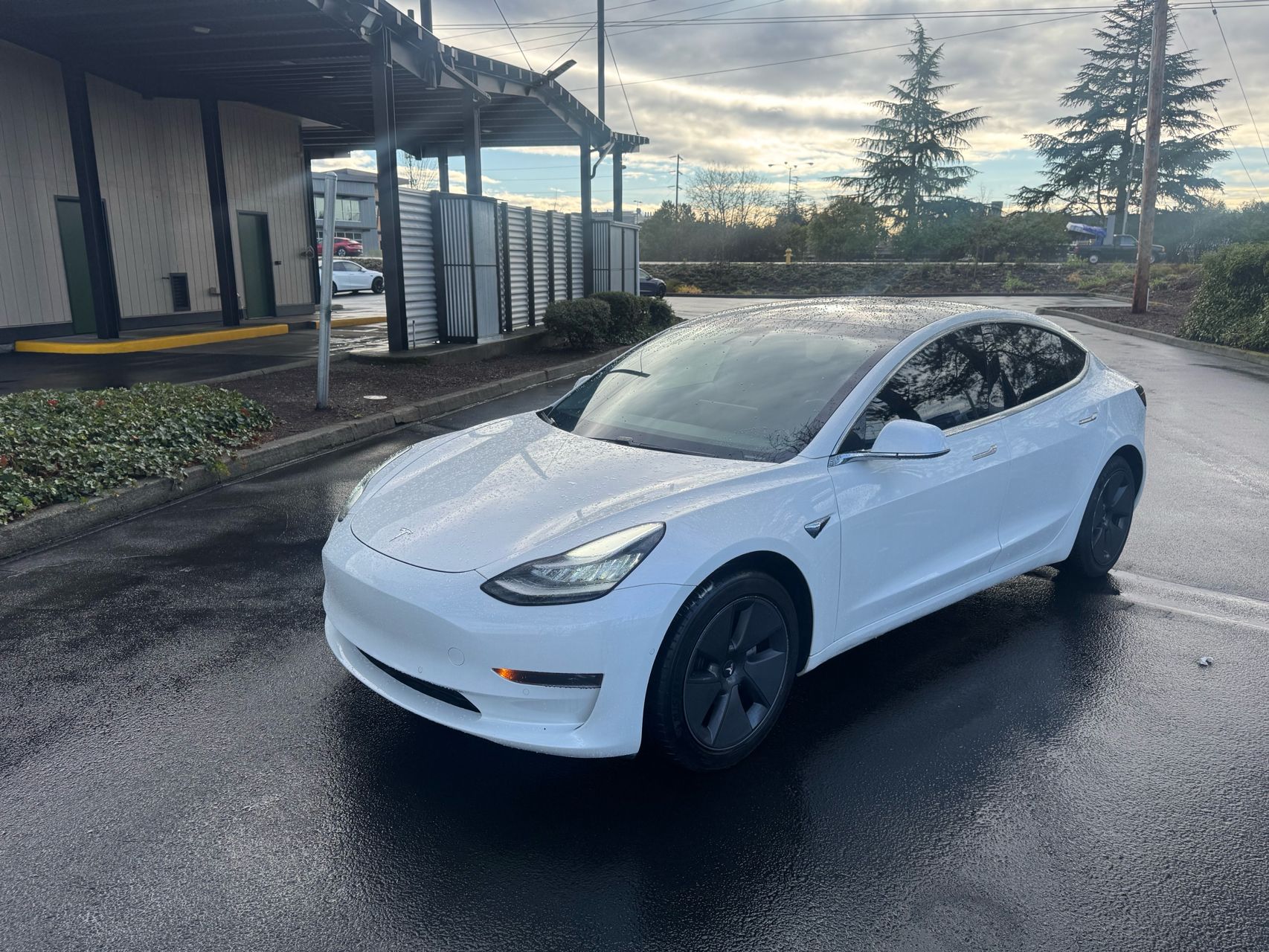 2020 Tesla Model 3 Base's photo