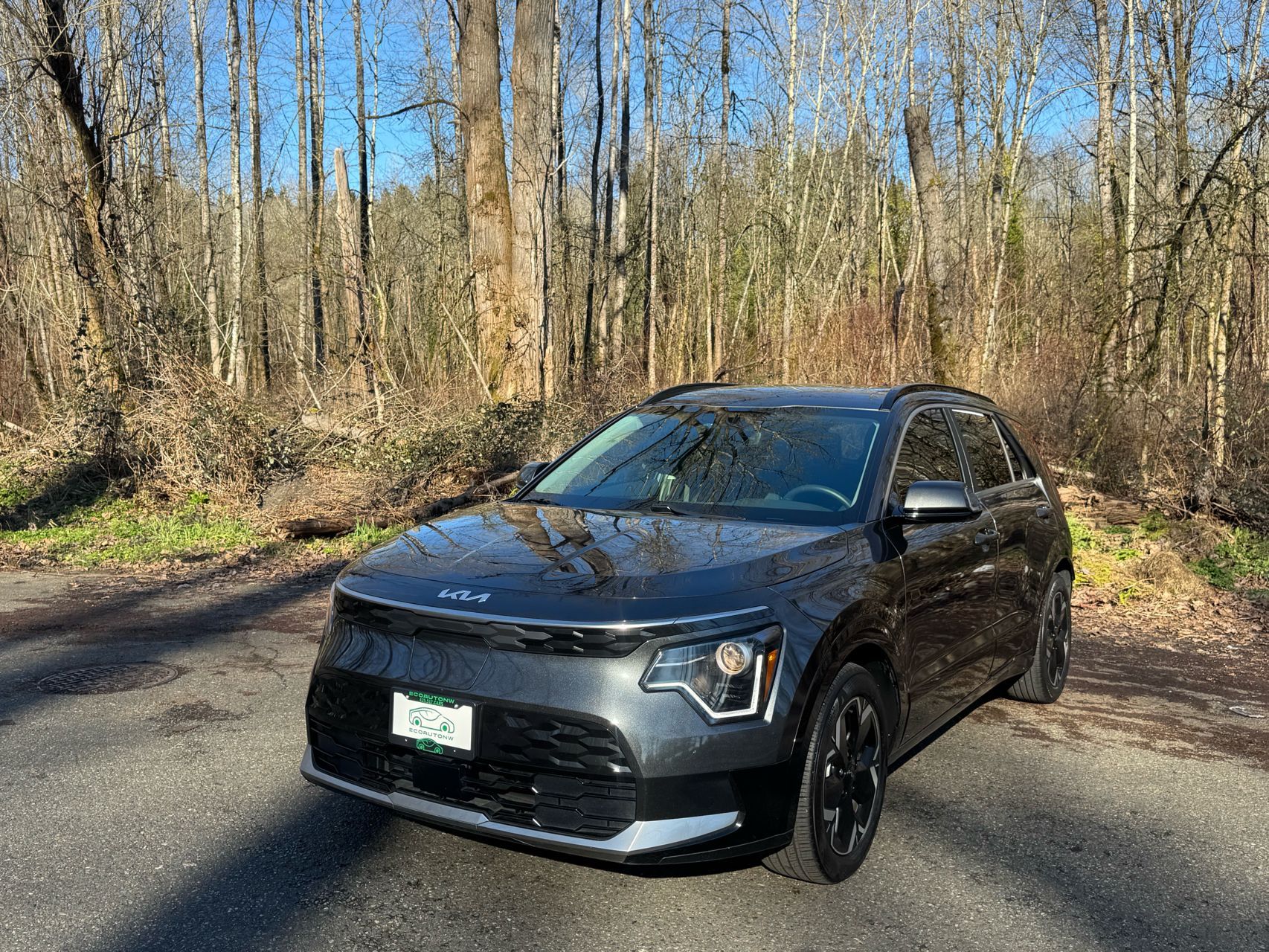 Kia Niro EV Wind FWD