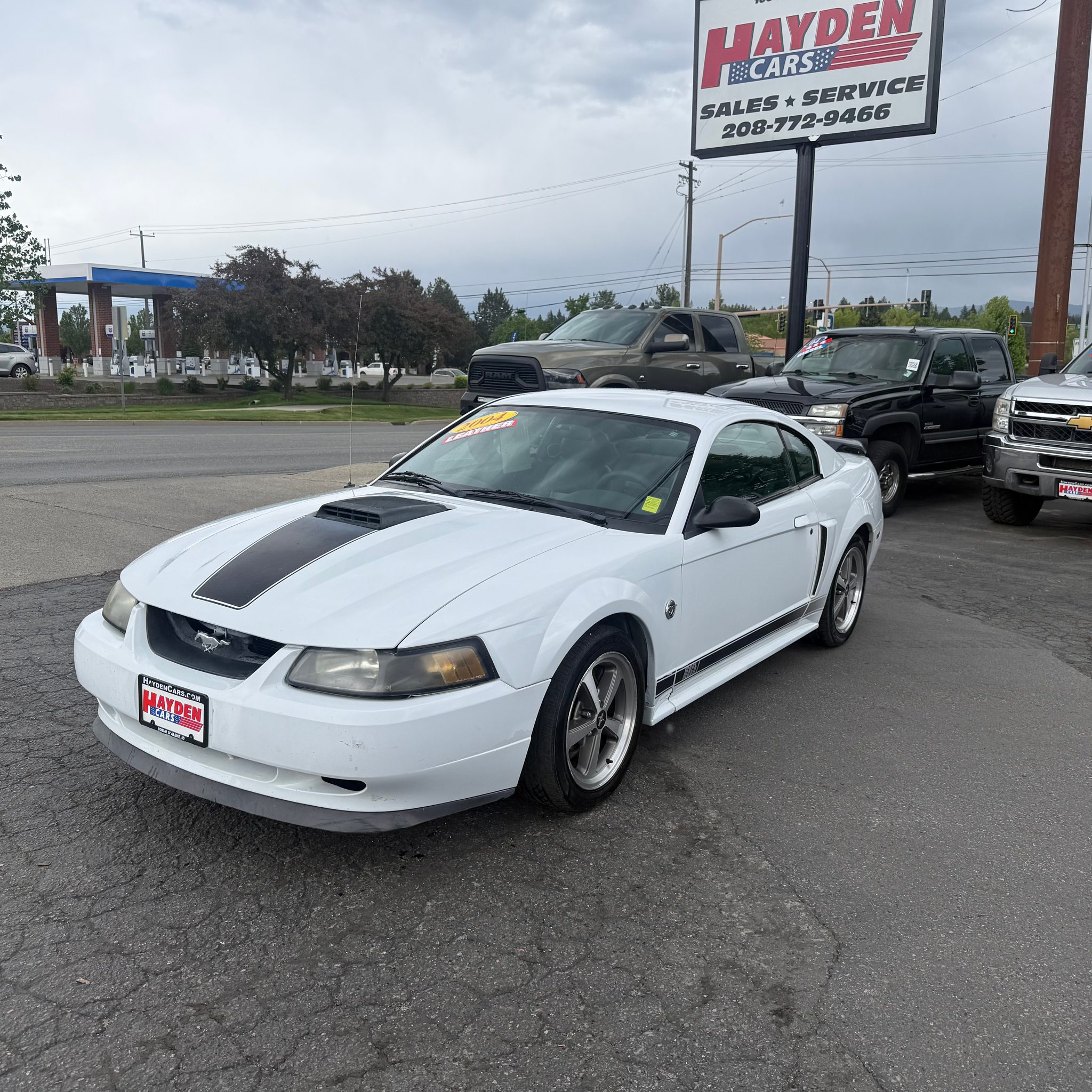2004 Ford Mustang 4.6 Mach 1's photo