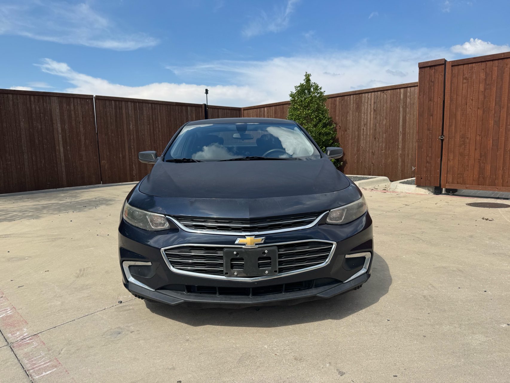 2017 Chevrolet Malibu 1FL (Fleet)'s photo