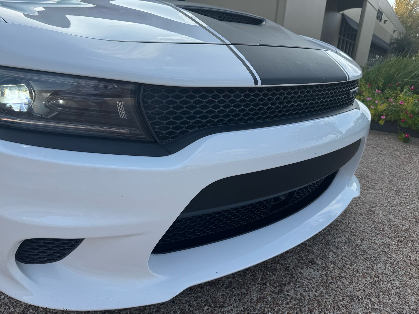 2023 Dodge Charger R/T photo 2