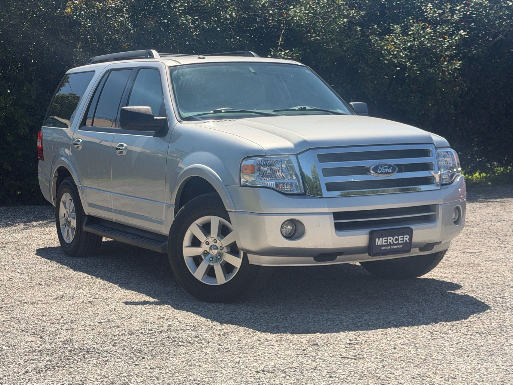 2010 Ford Expedition XLT's photo