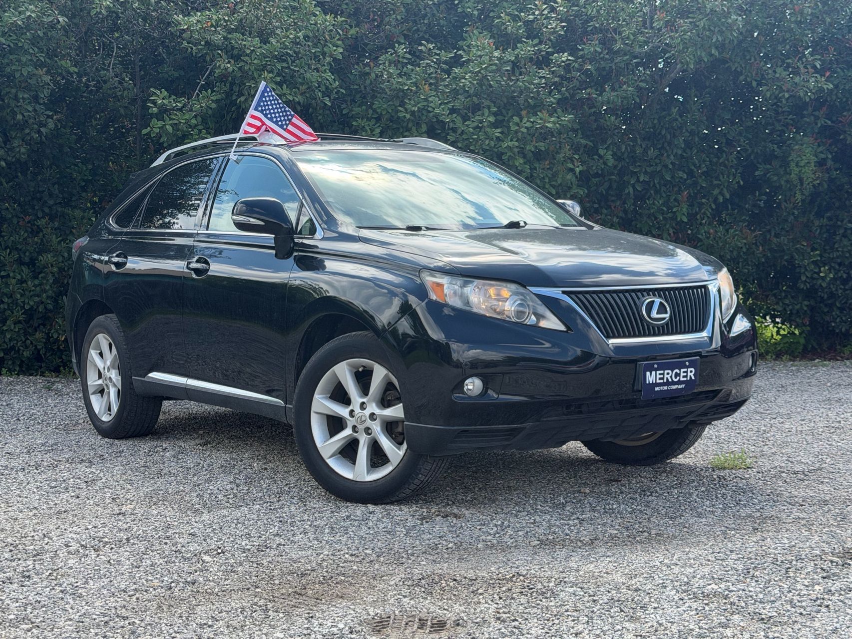 2010 Lexus RX 350 350's photo