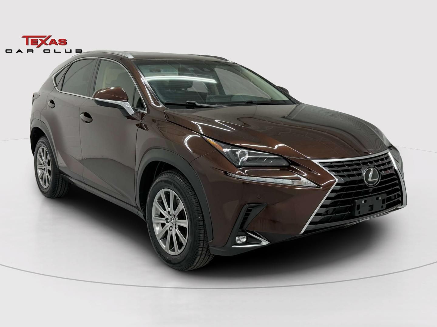2019 Lexus NX 300's photo